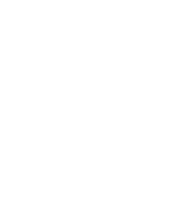 Top Fleet Logo (2)