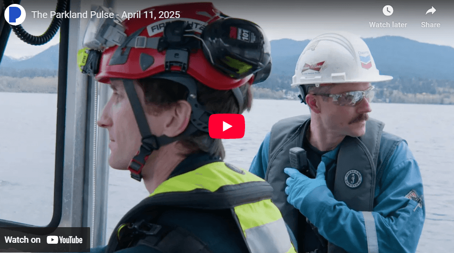 The Pulse - April 11